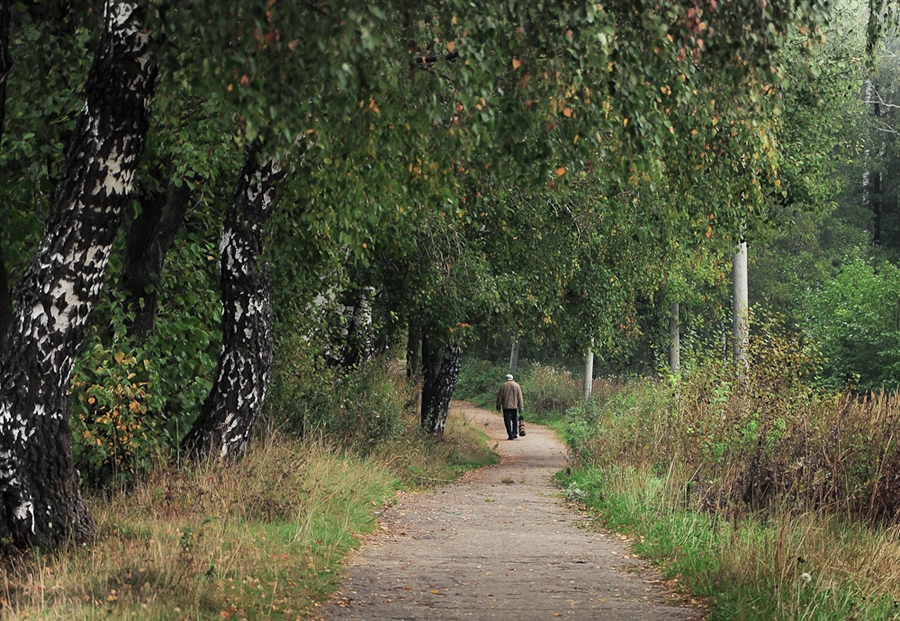 Фото жизнь