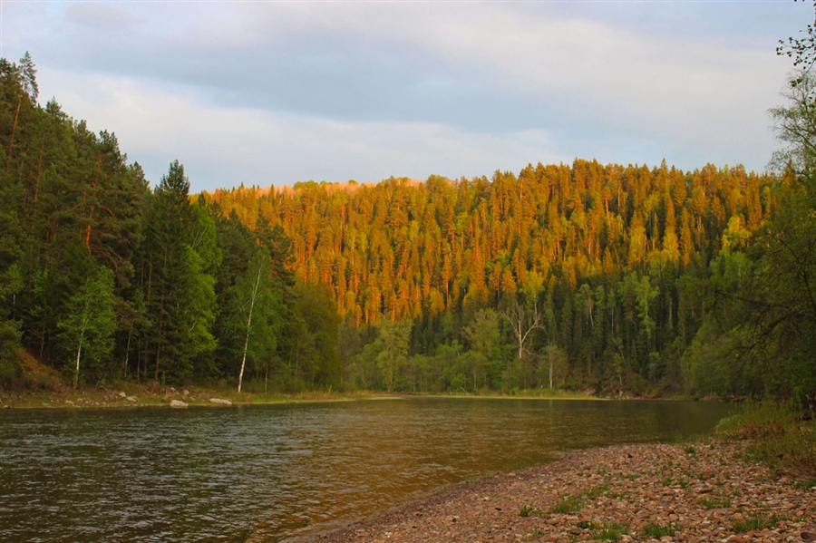 Фото жизнь