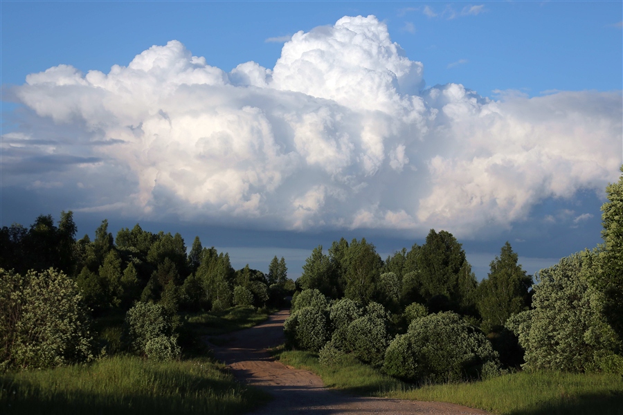 Фото жизнь