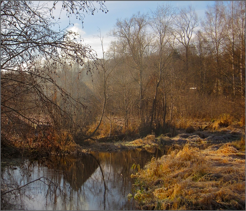 Фото жизнь