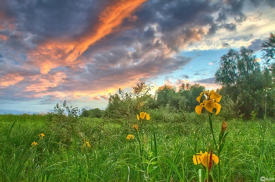 Фото жизнь