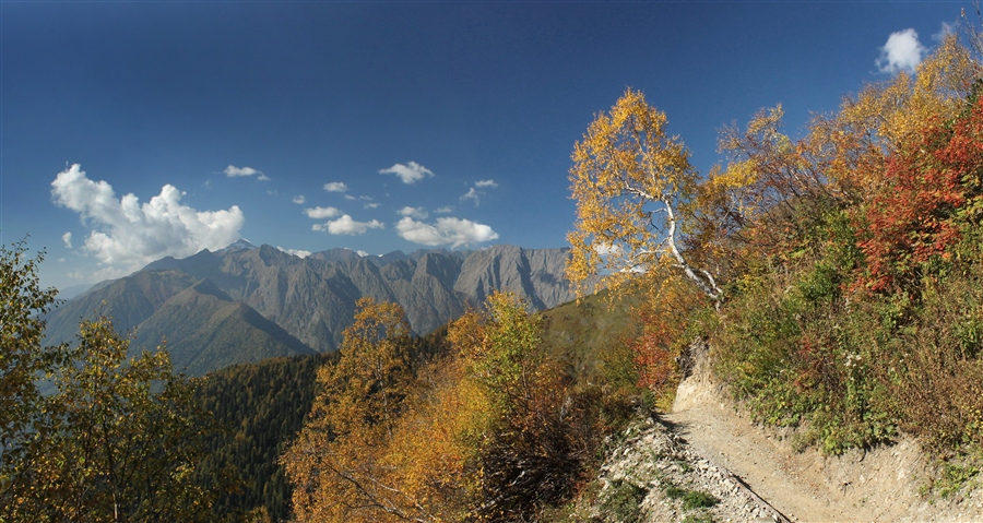 Фото жизнь