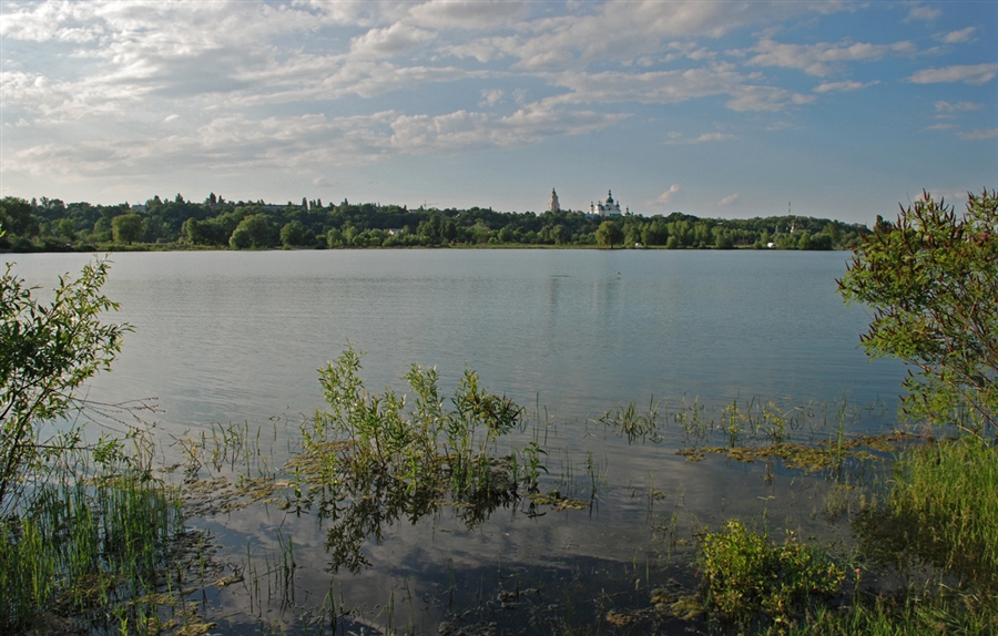 Фото жизнь
