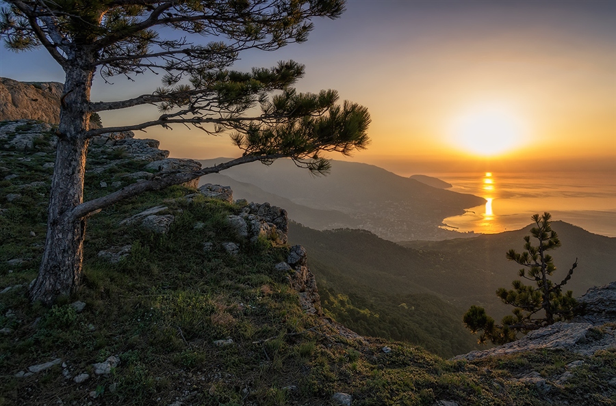 Крымская рассветная