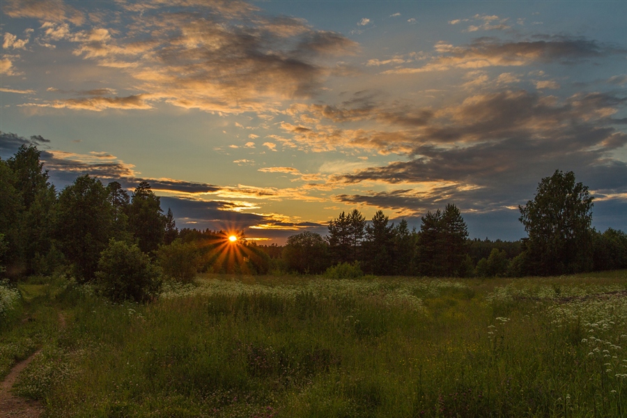 Фото жизнь