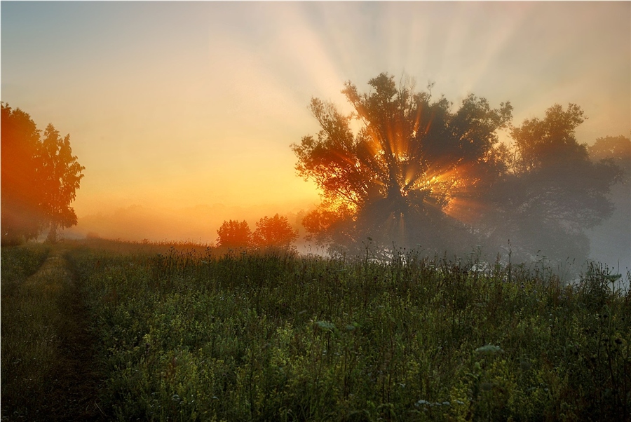 Фото жизнь
