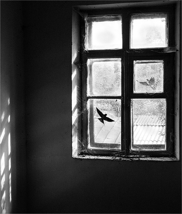 Фото жизнь (light) - Evgenij_Fedirko - корневой каталог - ...надежда
