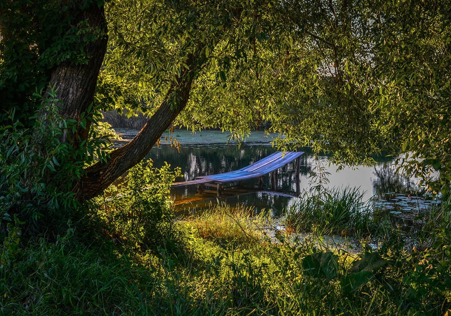 Фото жизнь