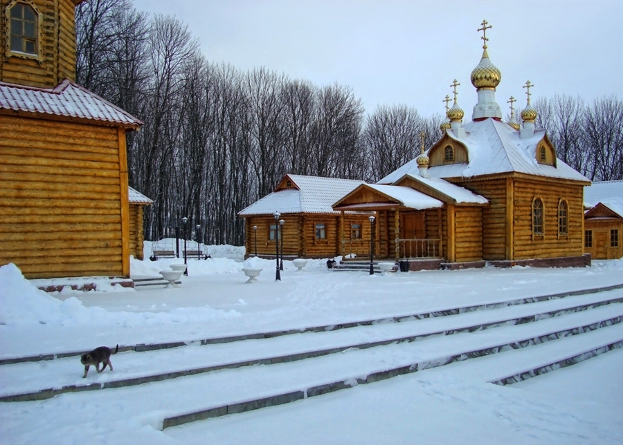 Фото жизнь