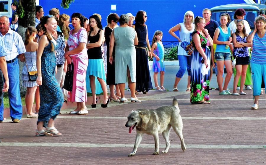 Фото жизнь