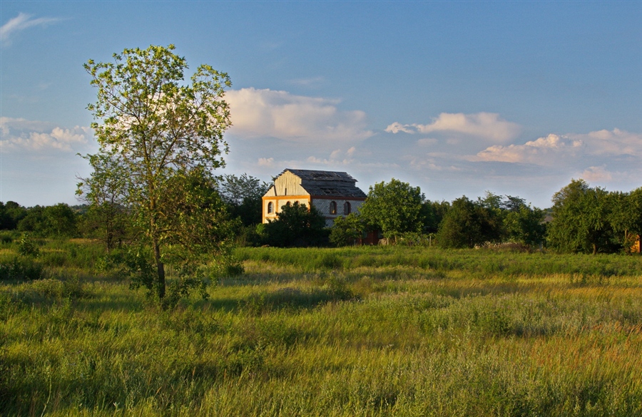 Фото жизнь