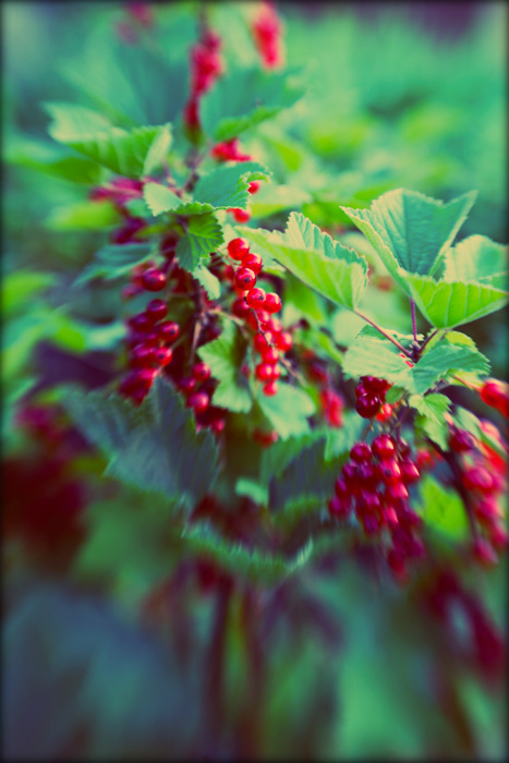 Фото жизнь (light) - Kaktusik - 4 - какскуста