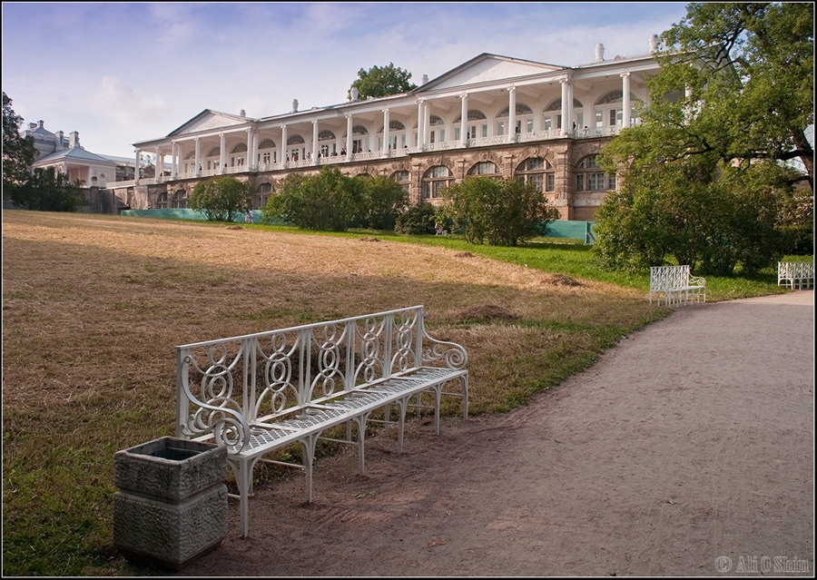 Фото жизнь