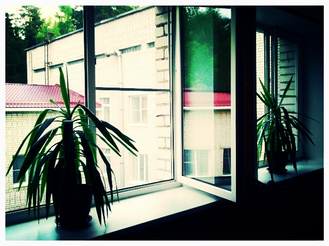 Фото жизнь (light) - serenata - корневой каталог - *