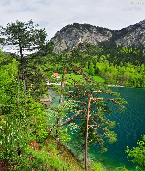 Фото жизнь