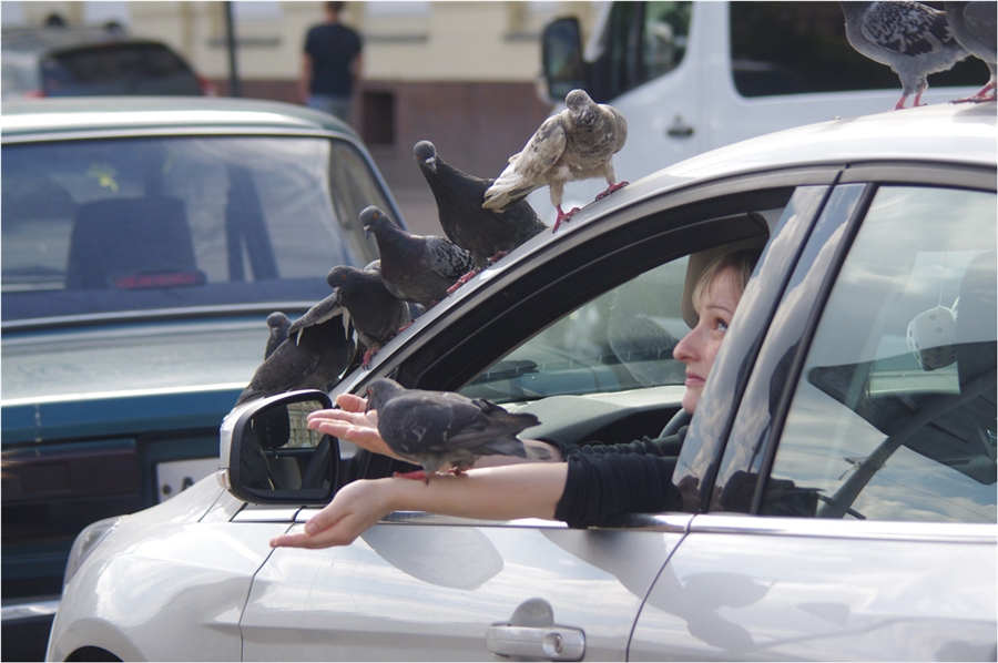 Фото жизнь