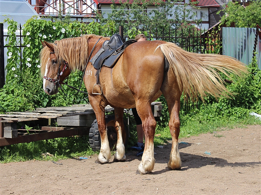 Фото жизнь
