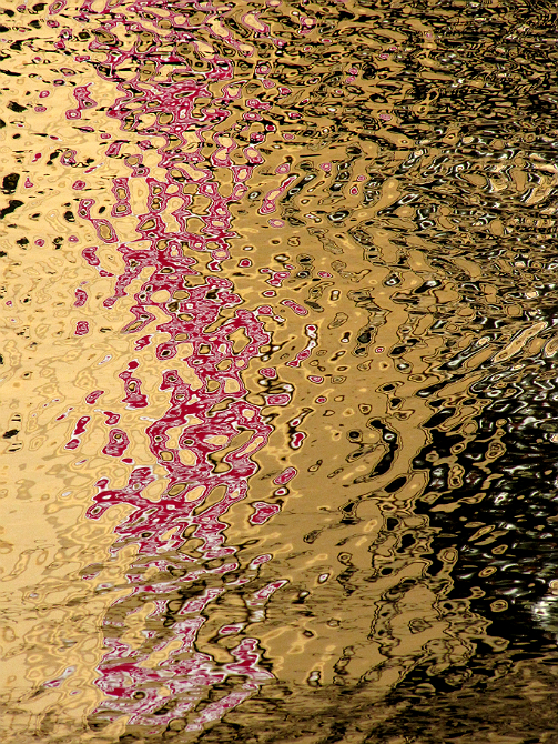 Фото жизнь (light) - dzinner - корневой каталог - акваграфика