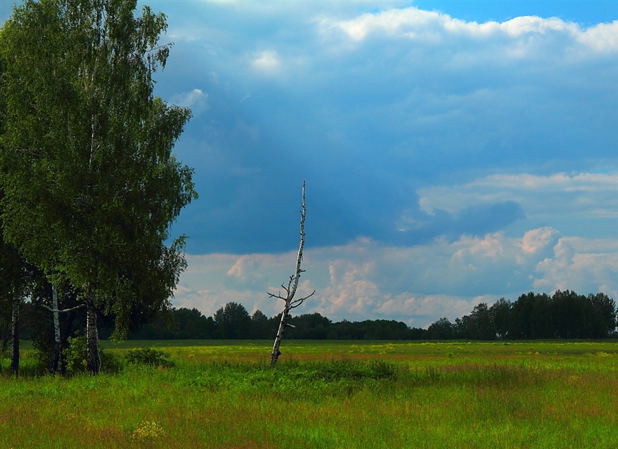 Фото жизнь