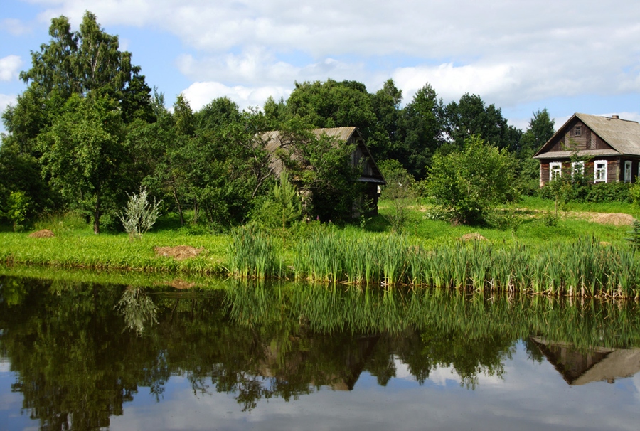 Фото жизнь