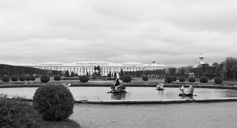 Фото жизнь