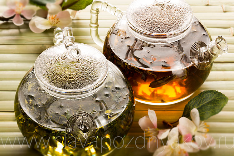 Фото жизнь (light) - slavapozdnyakov - корневой каталог - зеленый жасминовый чай