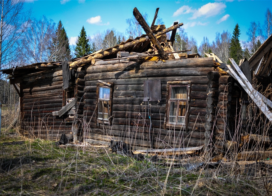 Фото жизнь