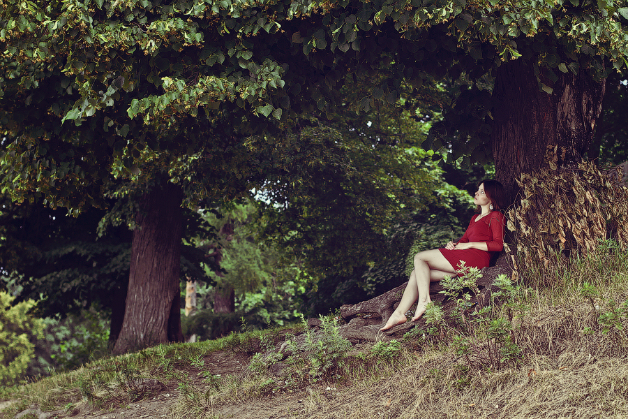 Фото жизнь (light) - Мария Господинова - корневой каталог - Мечты