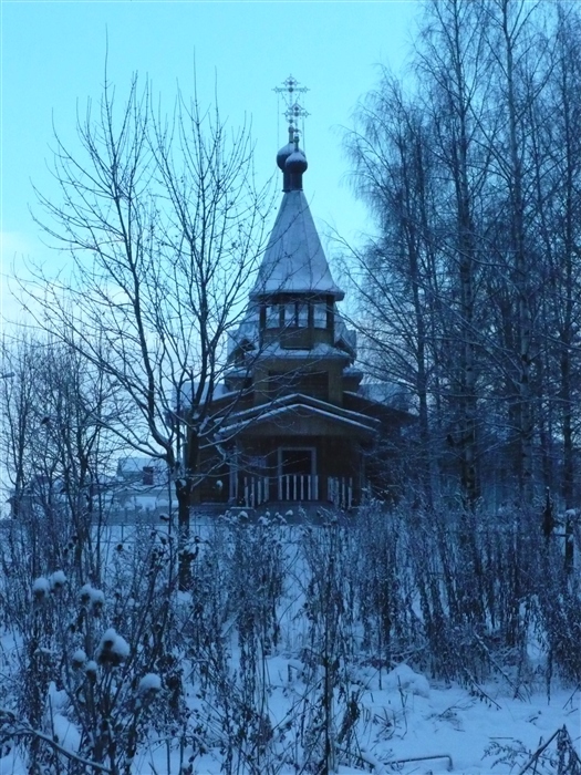 Фото жизнь