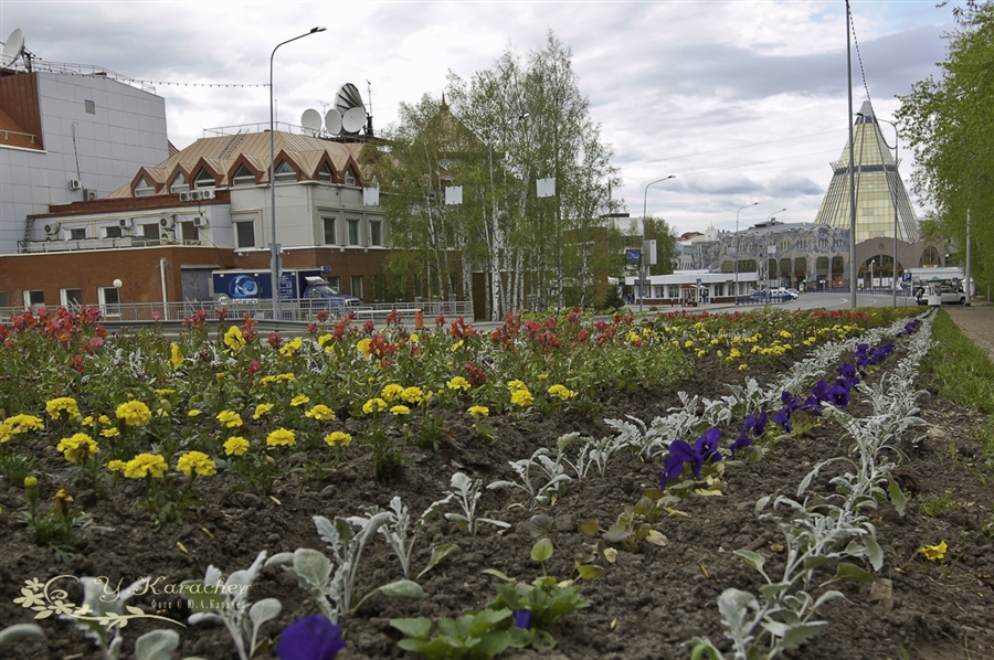 Фото жизнь