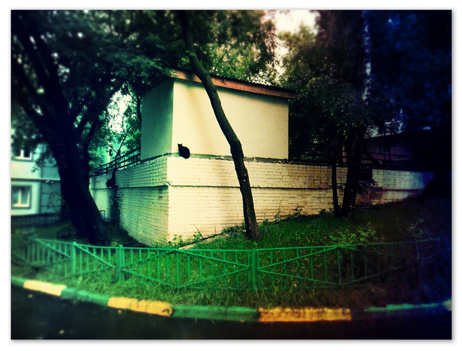 Фото жизнь