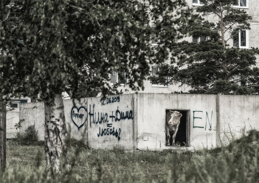 Фото жизнь