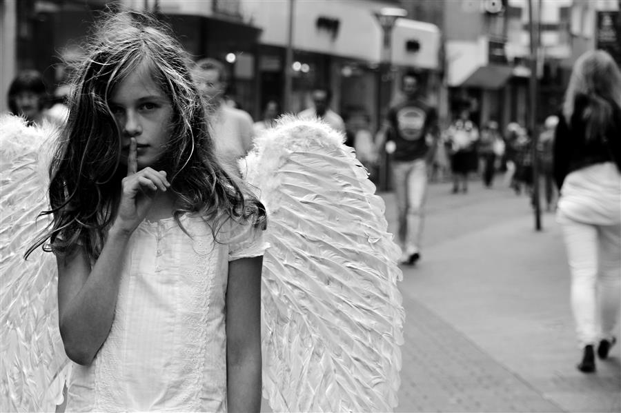 Фото жизнь (light) - Katherina Grigoreva - корневой каталог - Angel