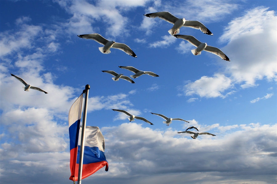 Фото жизнь