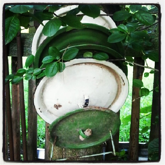 Фото жизнь (light) - serenata - корневой каталог - про бка