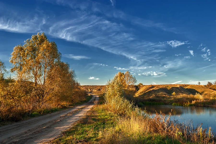 Фото жизнь