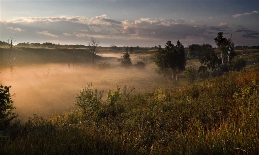 Фото жизнь