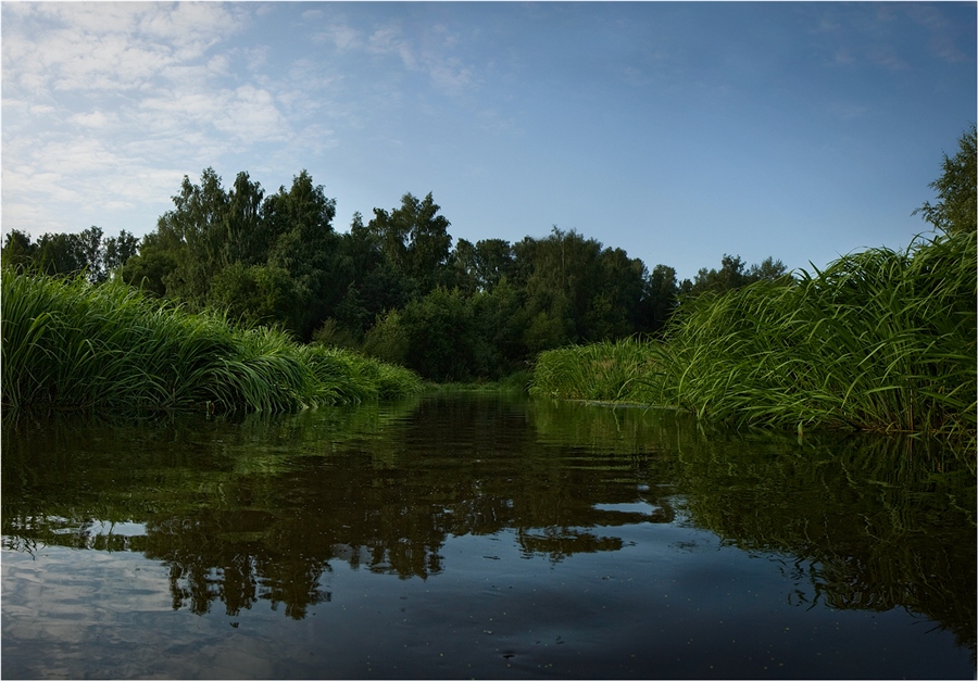 Фото жизнь