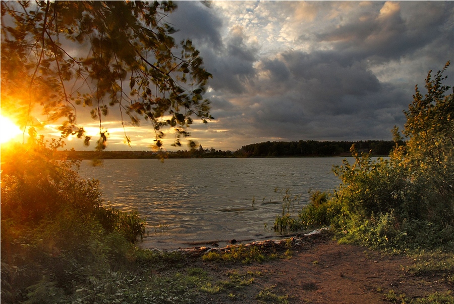 Фото жизнь