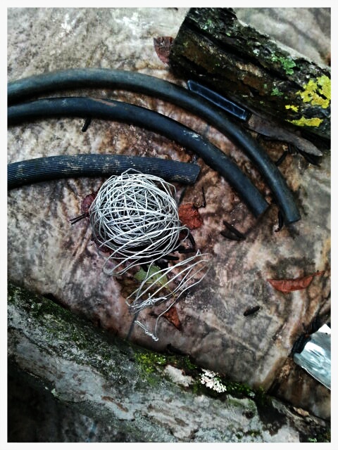 Фото жизнь (light) - serenata - корневой каталог - *