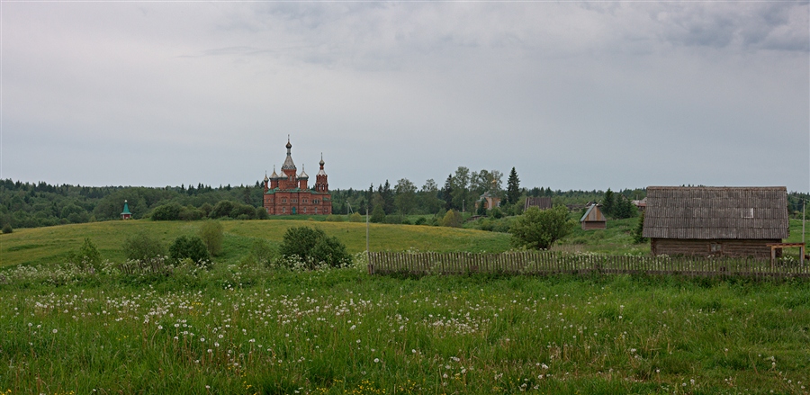 Фото жизнь