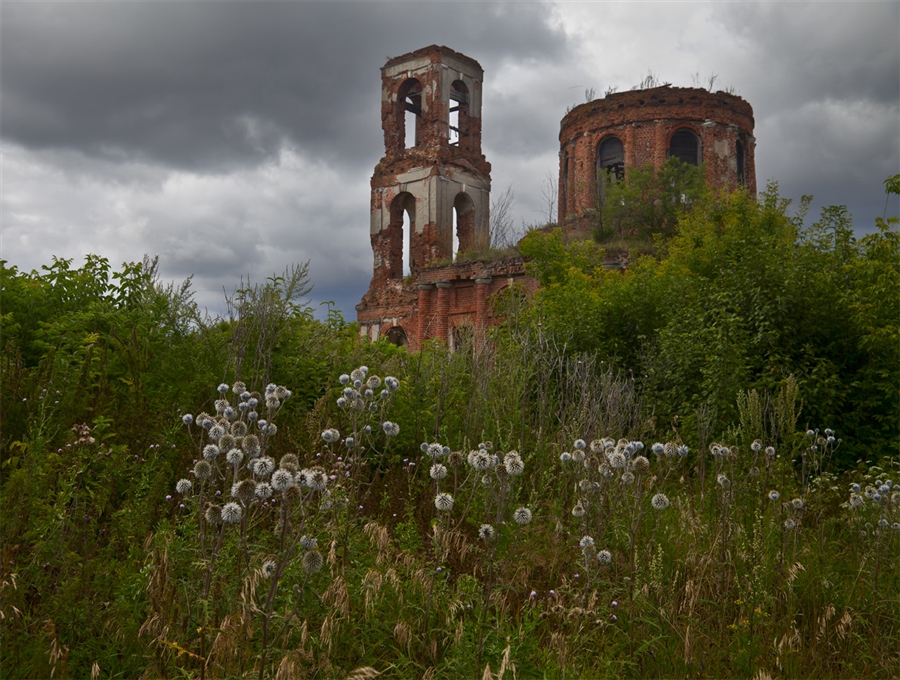 Фото жизнь