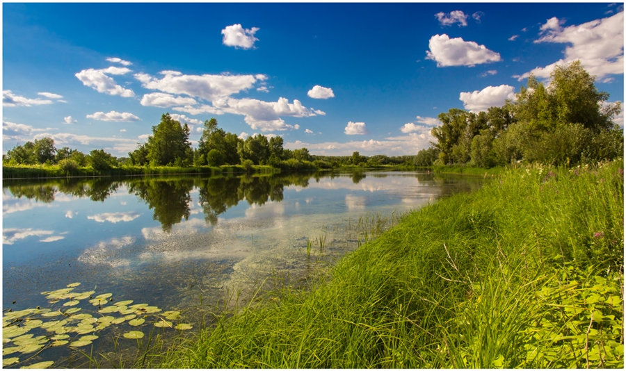 Фото жизнь