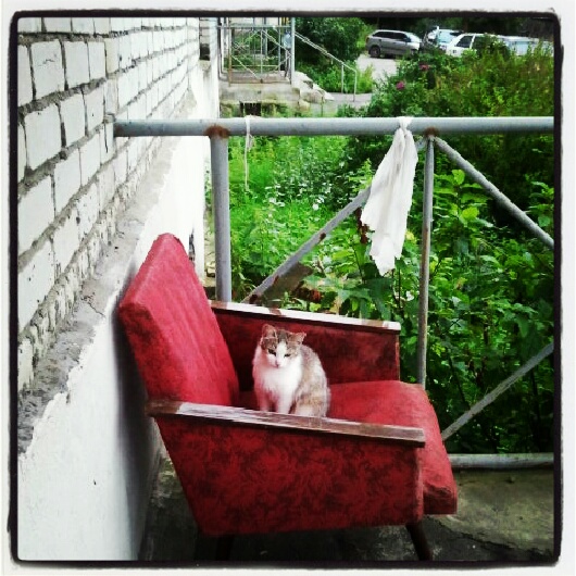 Фото жизнь (light) - serenata - корневой каталог - *