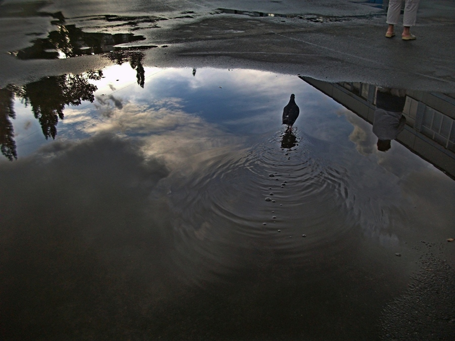 Фото жизнь