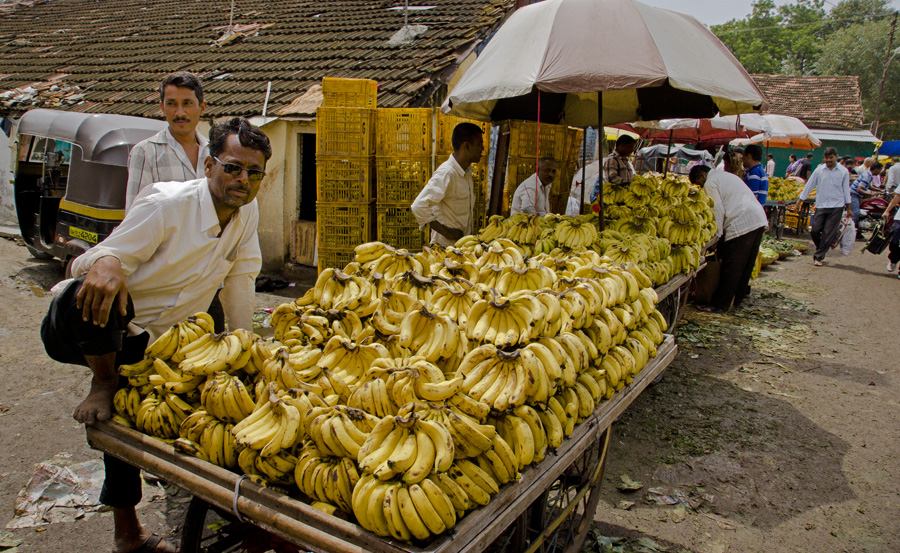 Фото жизнь (light) - slavam - корневой каталог - Много бананов.