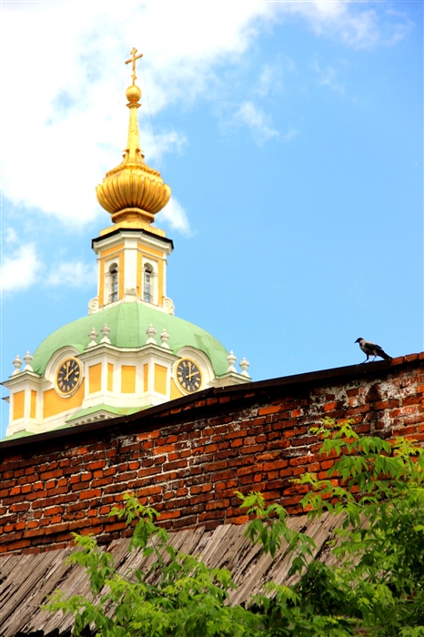 Фото жизнь