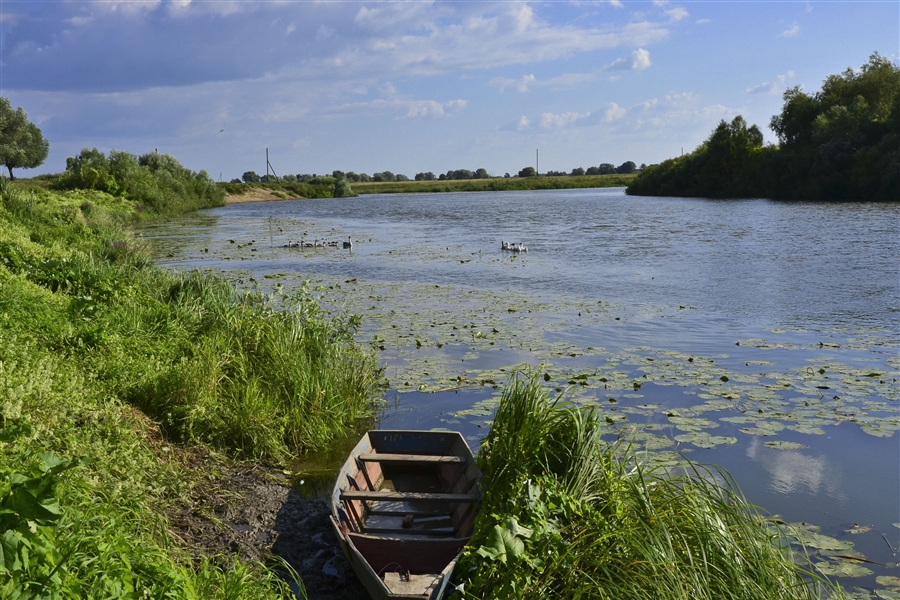 Фото жизнь