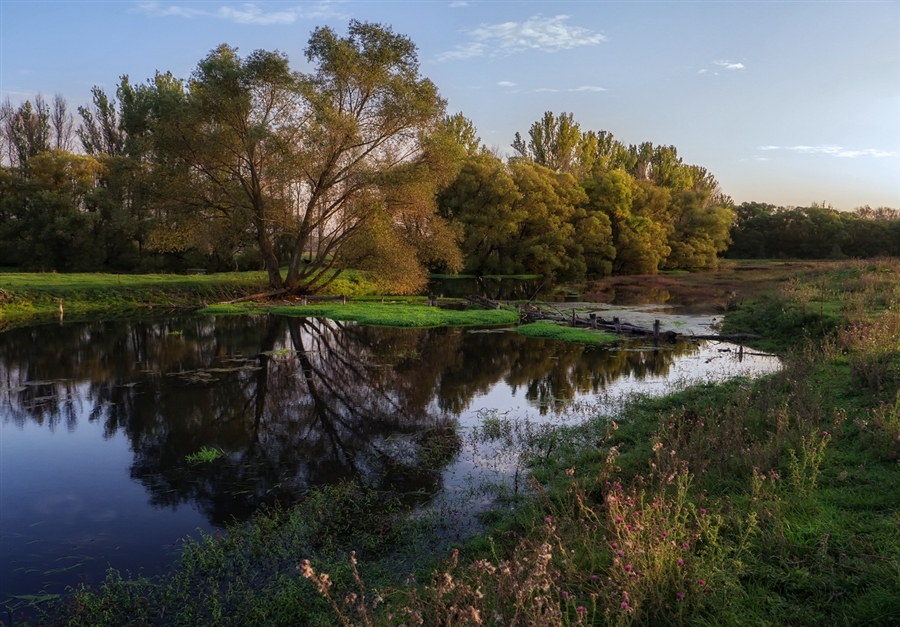 Фото жизнь