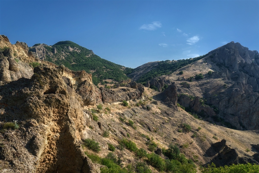 Фото жизнь